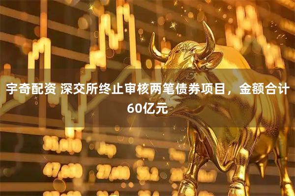 宇奇配资 深交所终止审核两笔债券项目，金额合计60亿元